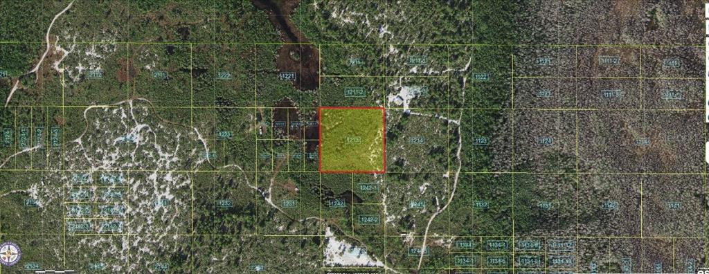 HOLOPAW GROVES ROAD, ST CLOUD, FL — photo 2 of 6