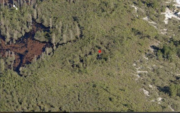 HOLOPAW GROVES ROAD, ST CLOUD, FL — photo 3 of 6