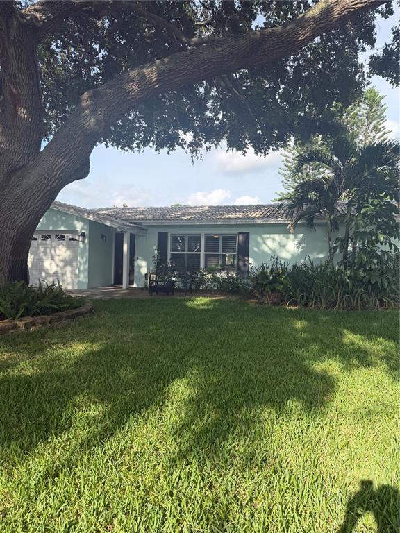 A light green single-story house with a large oak tree and palm tree in front — 704 23RD STREET SW, LARGO, FL