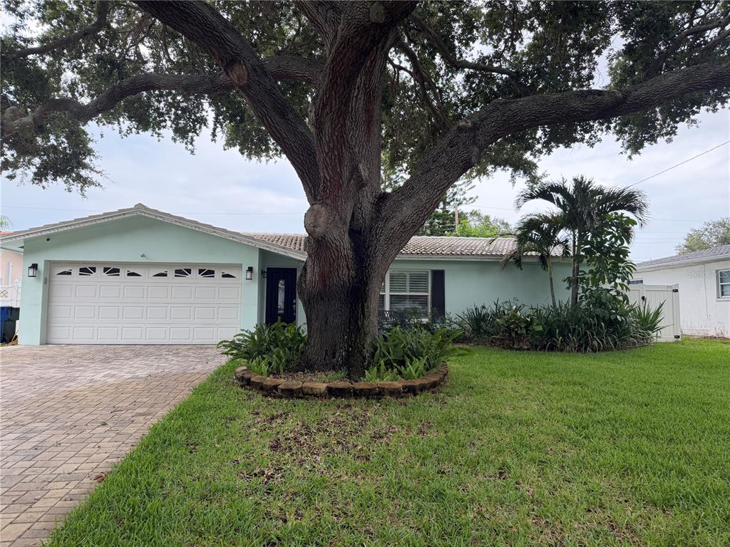 A light green single-story house features a large oak tree and a white garage — 704 23RD STREET SW, LARGO, FL