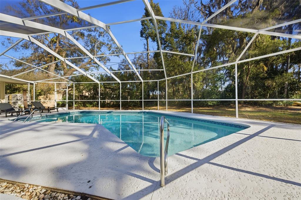 A swimming pool with a screened enclosure sits on a concrete patio near mature trees — 9214 RHEA DRIVE, ODESSA, FL