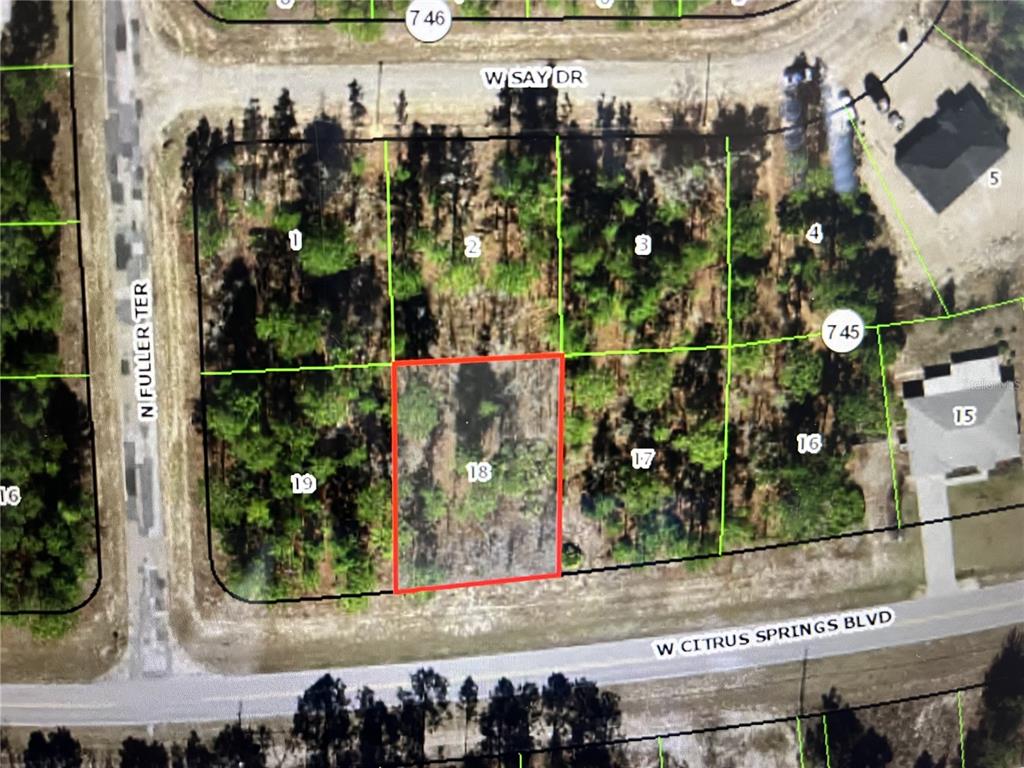 This is an aerial map showing a highlighted vacant lot numbered 18 in a residential area — 2191 W CITRUS SPRINGS BOULEVARD, DUNNELLON, FL