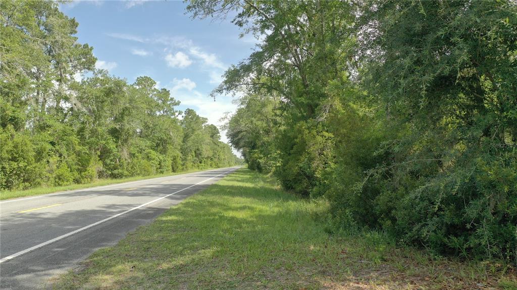 A paved road runs alongside a grassy shoulder bordered by dense trees and vegetation — US HWY 441 N, LAKE CITY, FL