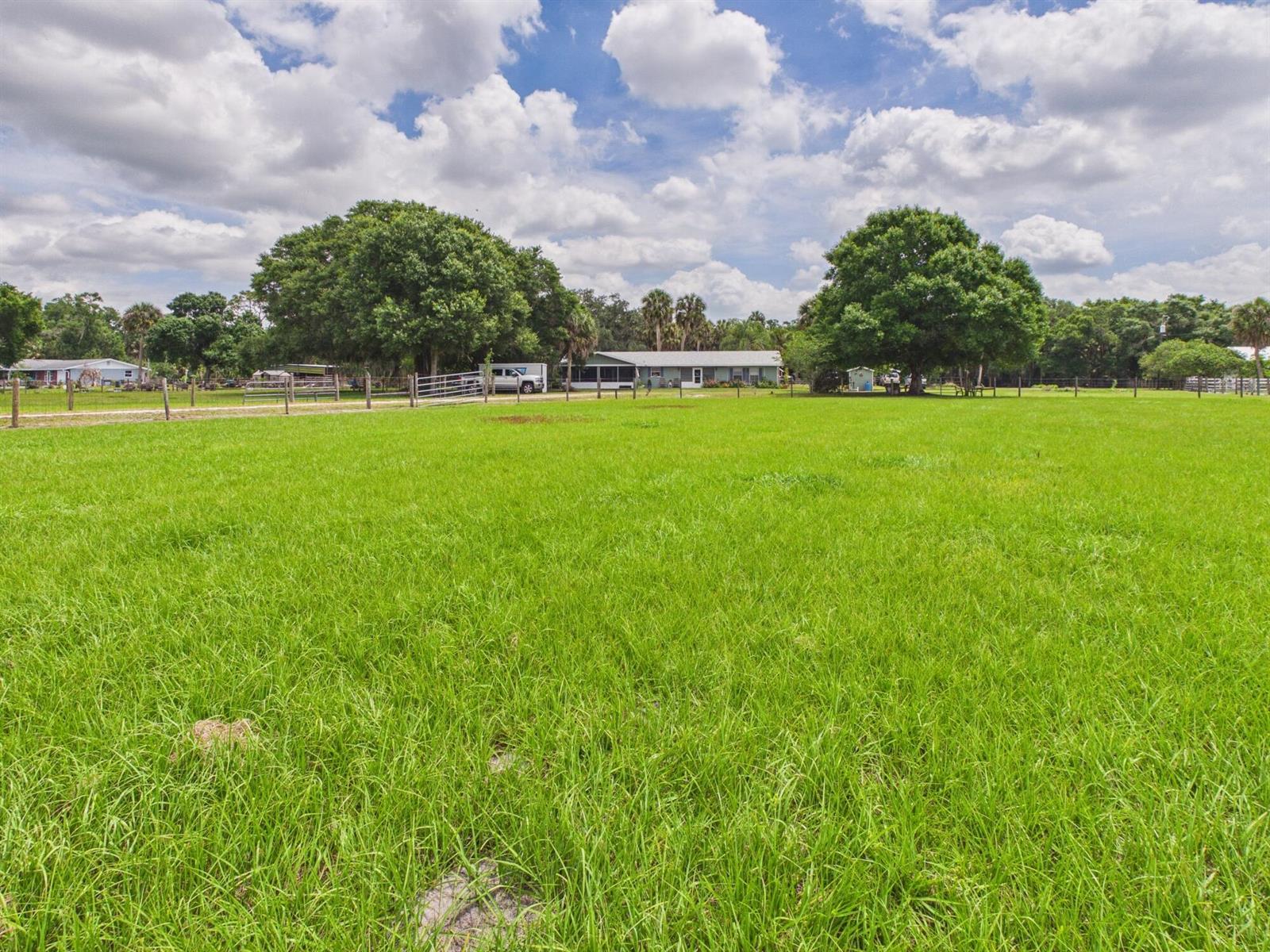 A wide, grassy pasture leads to a single-story house shaded by large, mature trees — 220 SW 67th Drive, Okeechobee FL 34974, OKEECHOBEE, FL