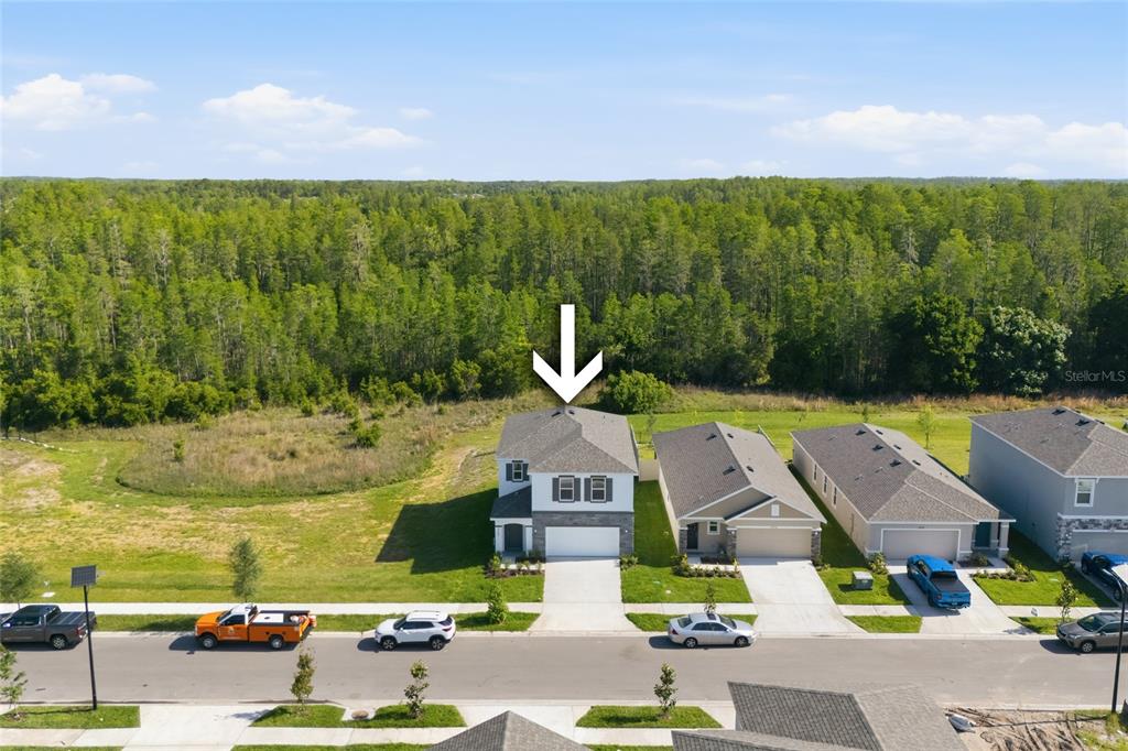 An aerial view shows a two-story suburban house with a white garage and driveway — 17786 ACORN DROP ROAD, LAND O LAKES, FL
