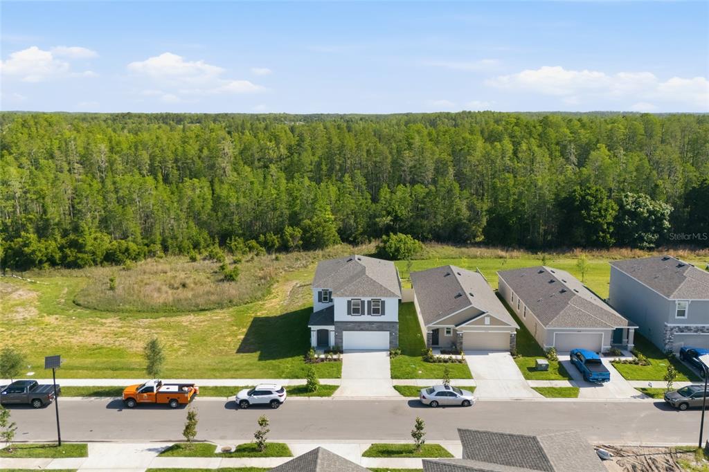 An aerial view shows a row of suburban houses bordering a large, dense forest — 17786 ACORN DROP ROAD, LAND O LAKES, FL