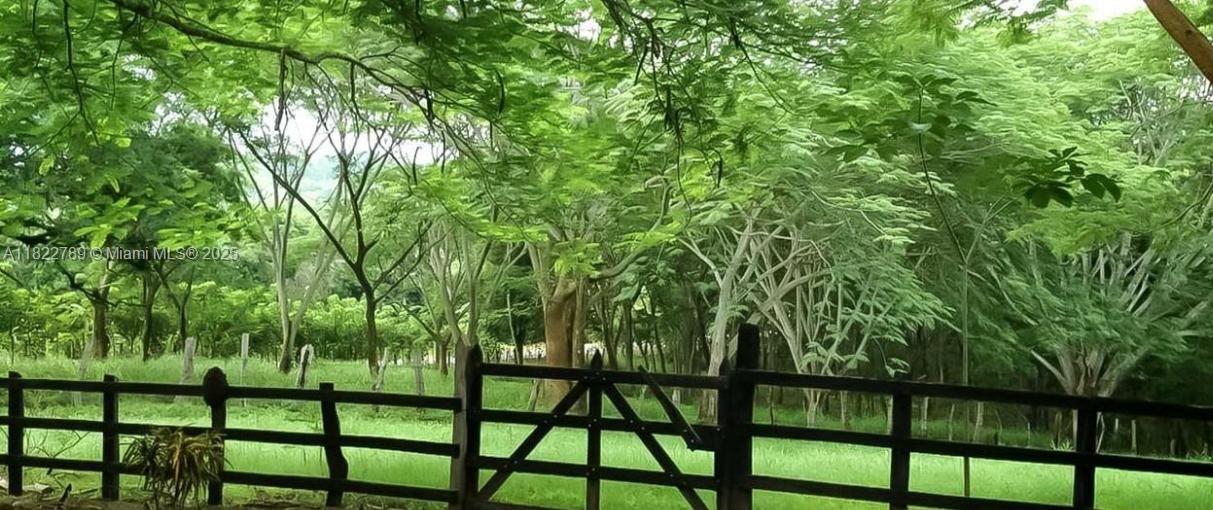A wooden fence encloses a grassy field backed by a dense forest of green trees — SAN JUAN GRANDE La Cascabela, IL 60202, IL