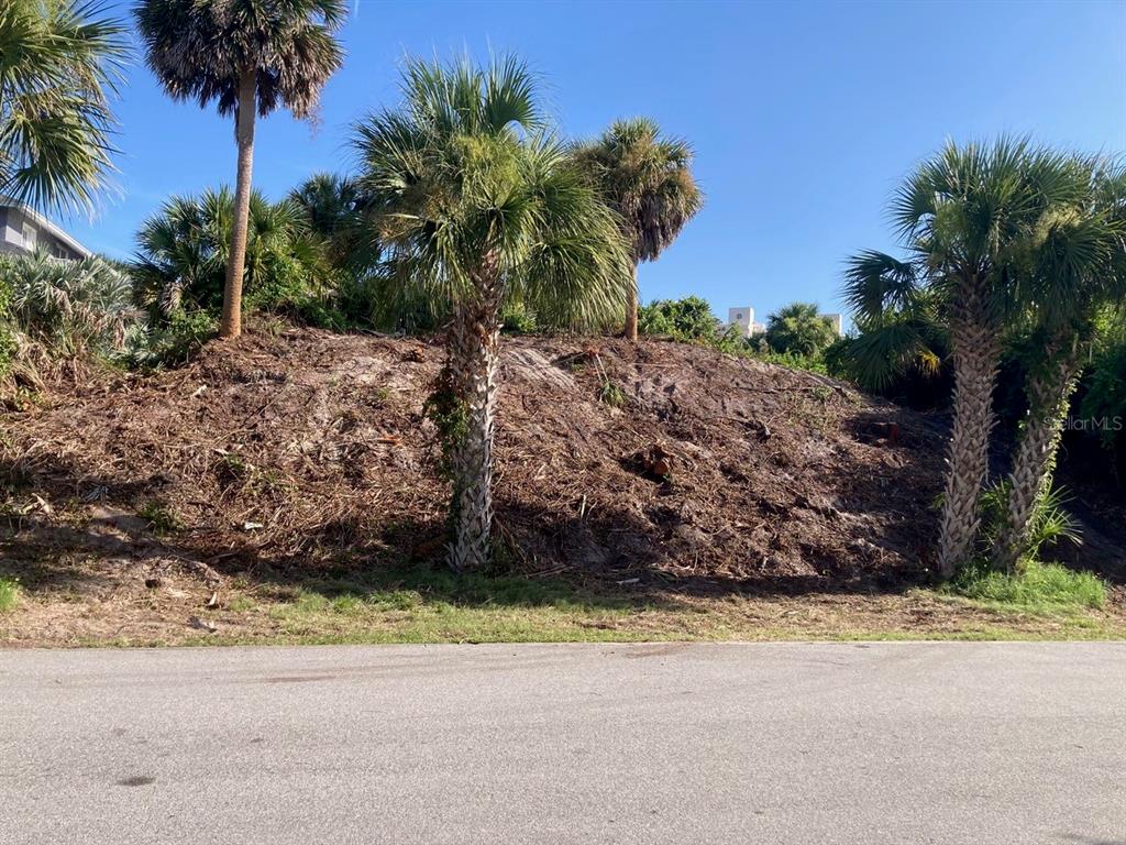 A sloped, cleared lot with several palm trees sits behind an asphalt road — 2146 Villa WAY, NEW SMYRNA BEACH, FL