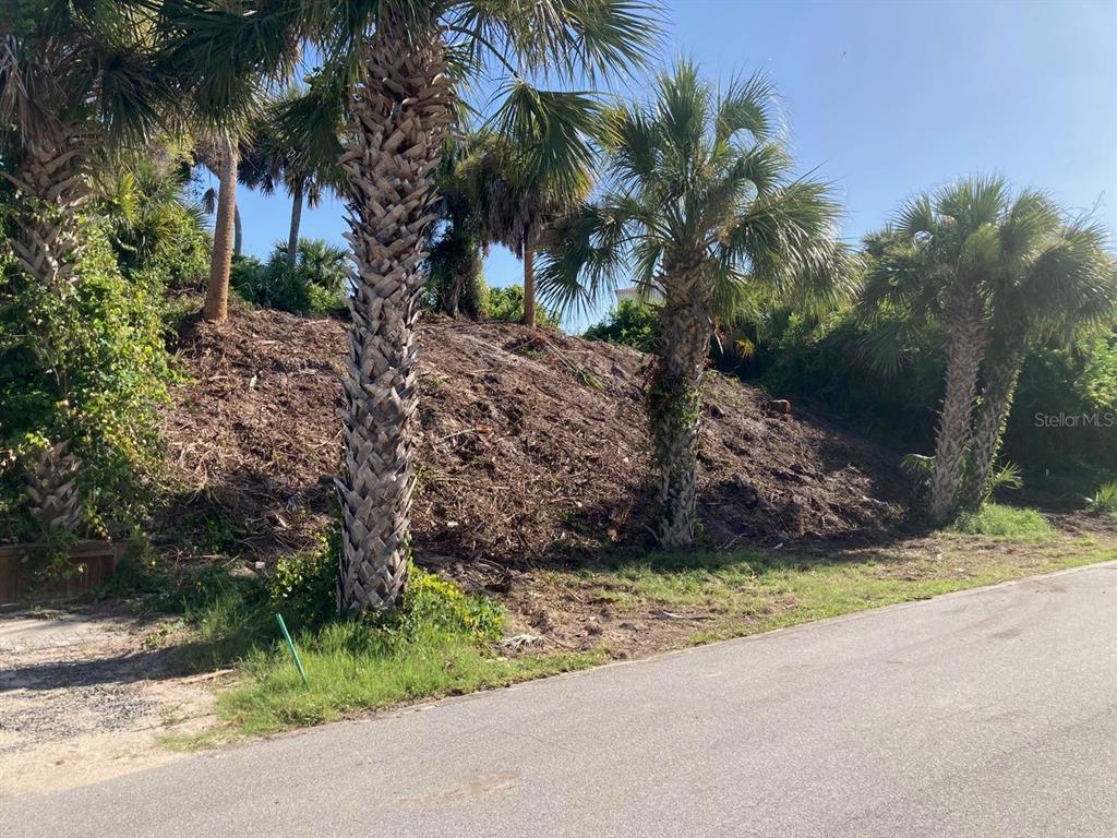 A sloped, cleared lot with several palm trees sits beside a paved road — 2146 Villa WAY, NEW SMYRNA BEACH, FL