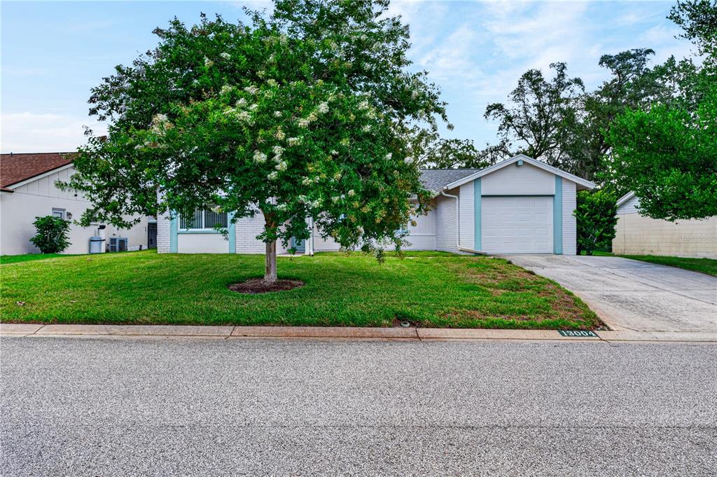 A single-story house with a white brick facade, a front lawn, and a large tree — 13004 SERPENTINE DRIVE, HUDSON, FL