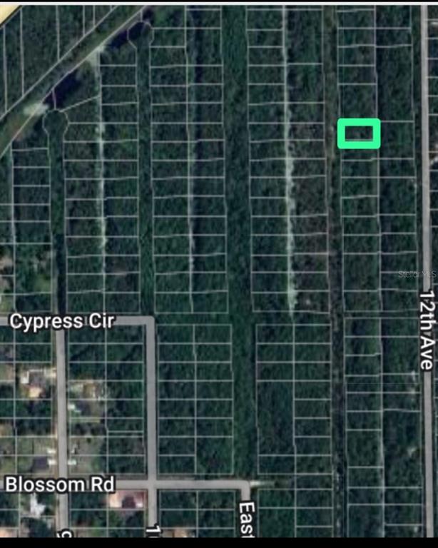 This aerial map shows a rectangular plot of land highlighted in green within a subdivision — TBD 11TH AVENUE, DELAND, FL