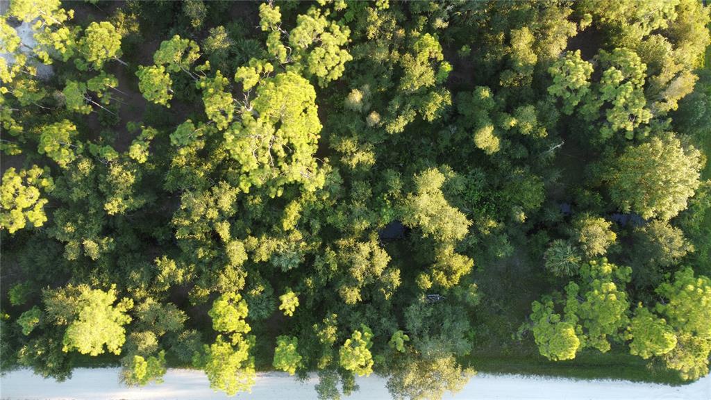 An aerial view shows a densely wooded lot bordering a white gravel road — 28153 ALATADENA DRIVE, PUNTA GORDA, FL
