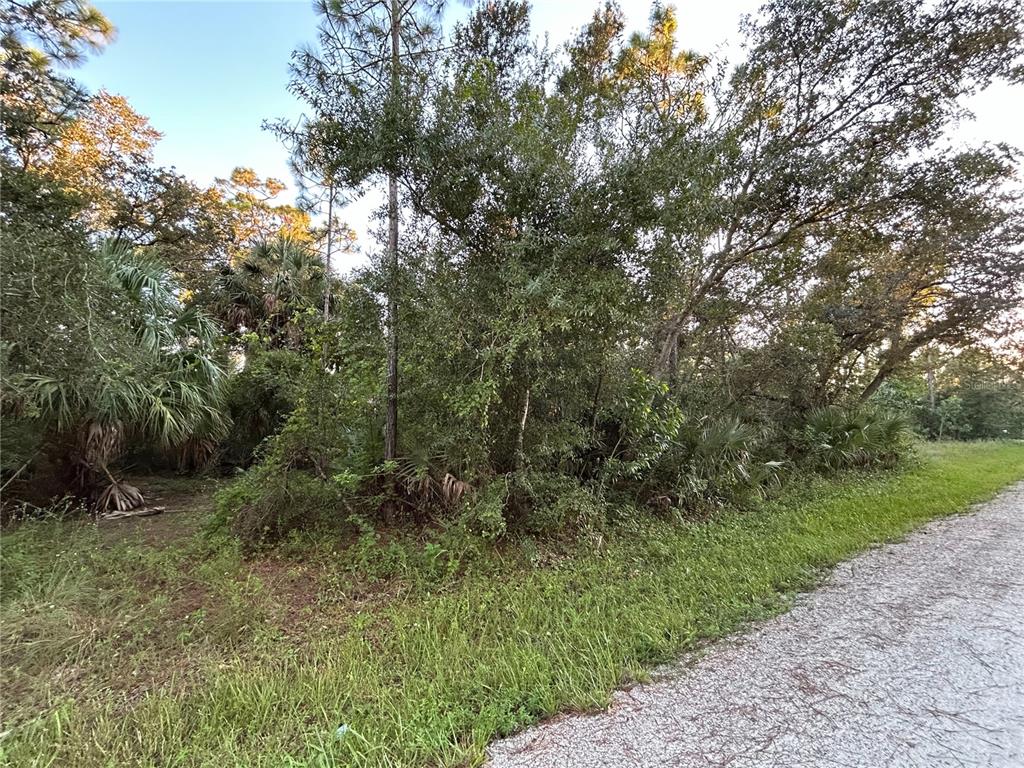 A wooded, undeveloped lot with native trees and shrubs borders a gravel road — 28153 ALATADENA DRIVE, PUNTA GORDA, FL