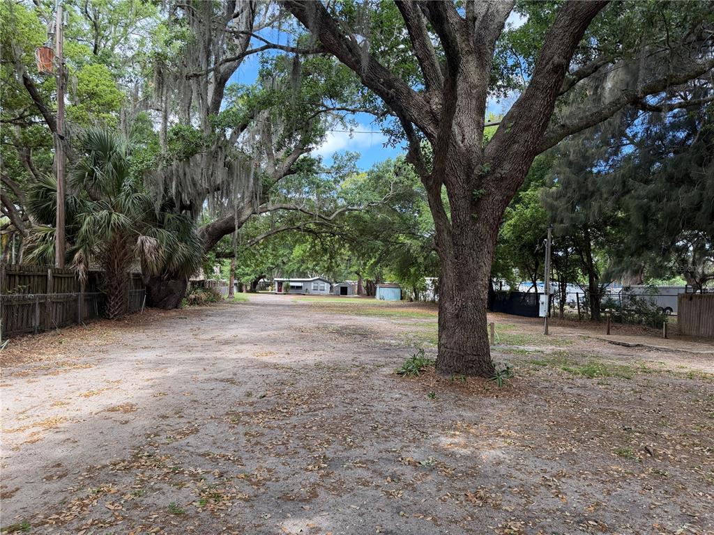 A large, sandy, tree-shaded lot features a wooden fence and distant small structures — 1257 LYNCHBURG ROAD, LAKE ALFRED, FL