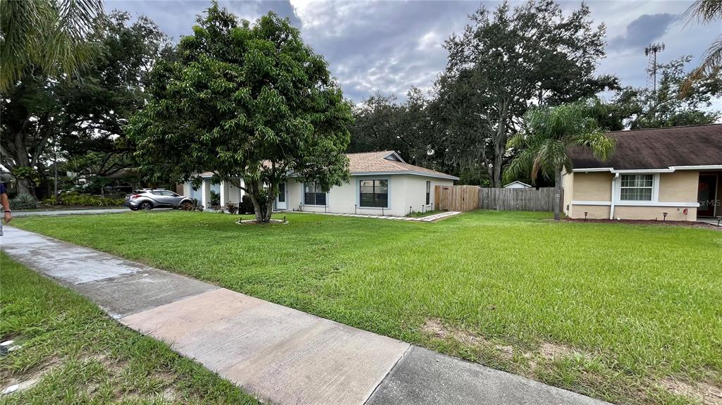 A single-story house with a large tree in the front yard and a sidewalk — 14216 BRIARTHORN DRIVE, TAMPA, FL