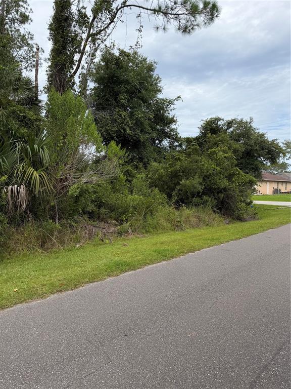 A vacant, overgrown lot sits beside a paved road with a house visible in the distance — 1 KASHGAR COURT, PALM COAST, FL