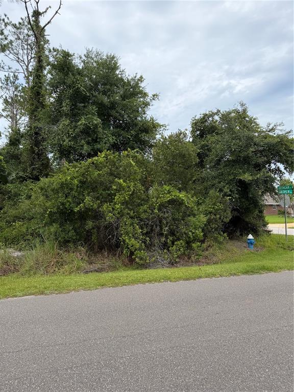 A vacant, heavily wooded corner lot features a fire hydrant near the street intersection — 1 KASHGAR COURT, PALM COAST, FL