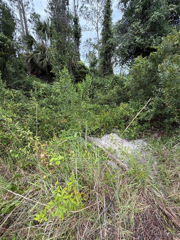 A dense, overgrown wooded lot with tall trees, thick shrubs, and a patch of sand — 1 KASHGAR COURT, PALM COAST, FL
