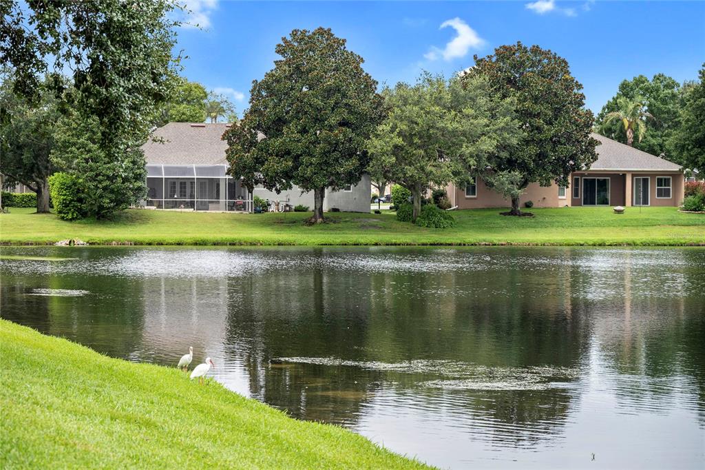 A pond sits in front of two houses with large trees and a grassy lawn — 2848 ALOMA LAKE RUN, OVIEDO, FL