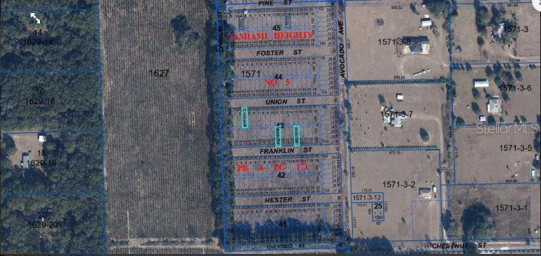 This is a satellite map showing property parcel boundaries, street names, and lot numbers — TAMIAMI HEIGHTS #5 BLKS 41-45, HIGH SPRINGS, FL