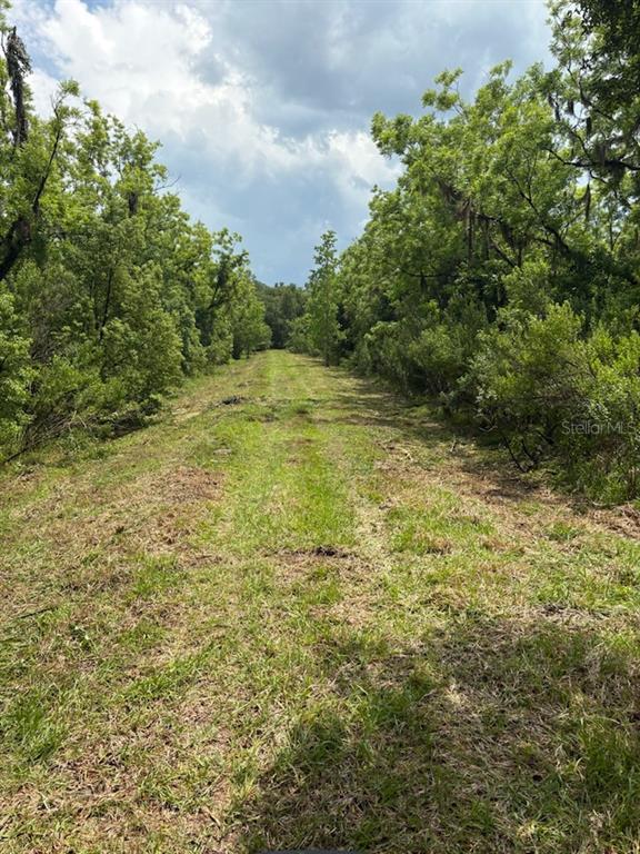 A grassy path leads through a wooded area under a cloudy sky — 459 COUNTY ROAD 2006 E, BUNNELL, FL