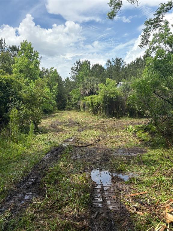 A muddy, cleared path leads through a wooded lot with visible heavy equipment tracks — 459 COUNTY ROAD 2006 E, BUNNELL, FL