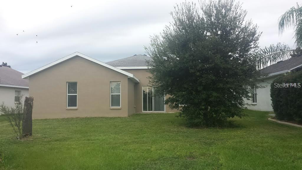 The rear exterior of a tan stucco house features a large tree and sliding doors — 11415 MOUNTAIN BAY DRIVE, RIVERVIEW, FL