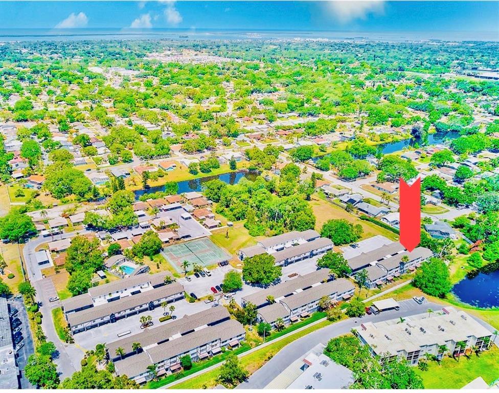 An aerial view of a multi-unit residential complex featuring a red arrow pointing to one building — 1127 KING ARTHUR COURT UNIT 309, DUNEDIN, FL