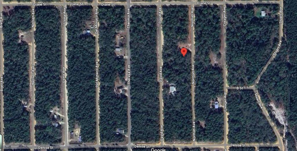 This is an aerial map view of a wooded residential lot marked with a pin — 504 NORMAN AVE, INTERLACHEN, FL