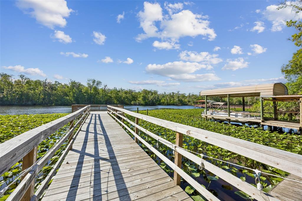 334 PARADISE CIRCLE, SATSUMA, FL — photo 4 of 30