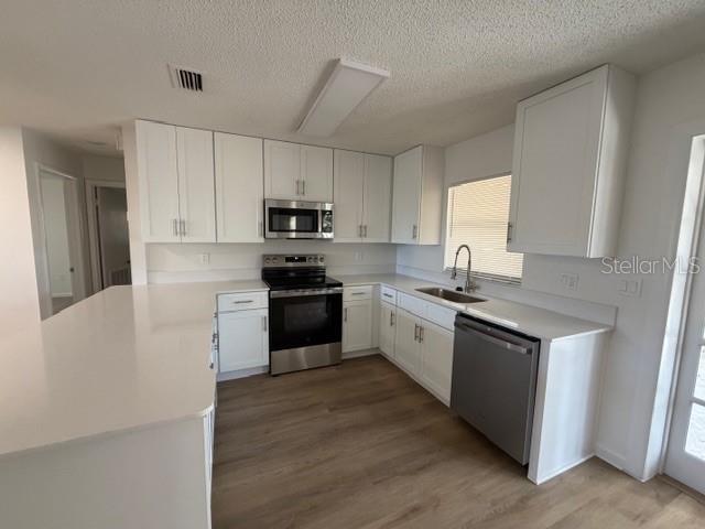 An open-concept living area features light wood-look flooring, white walls, and an adjacent kitchen — 3736 PINE CIRCLE, LAKE WALES, FL