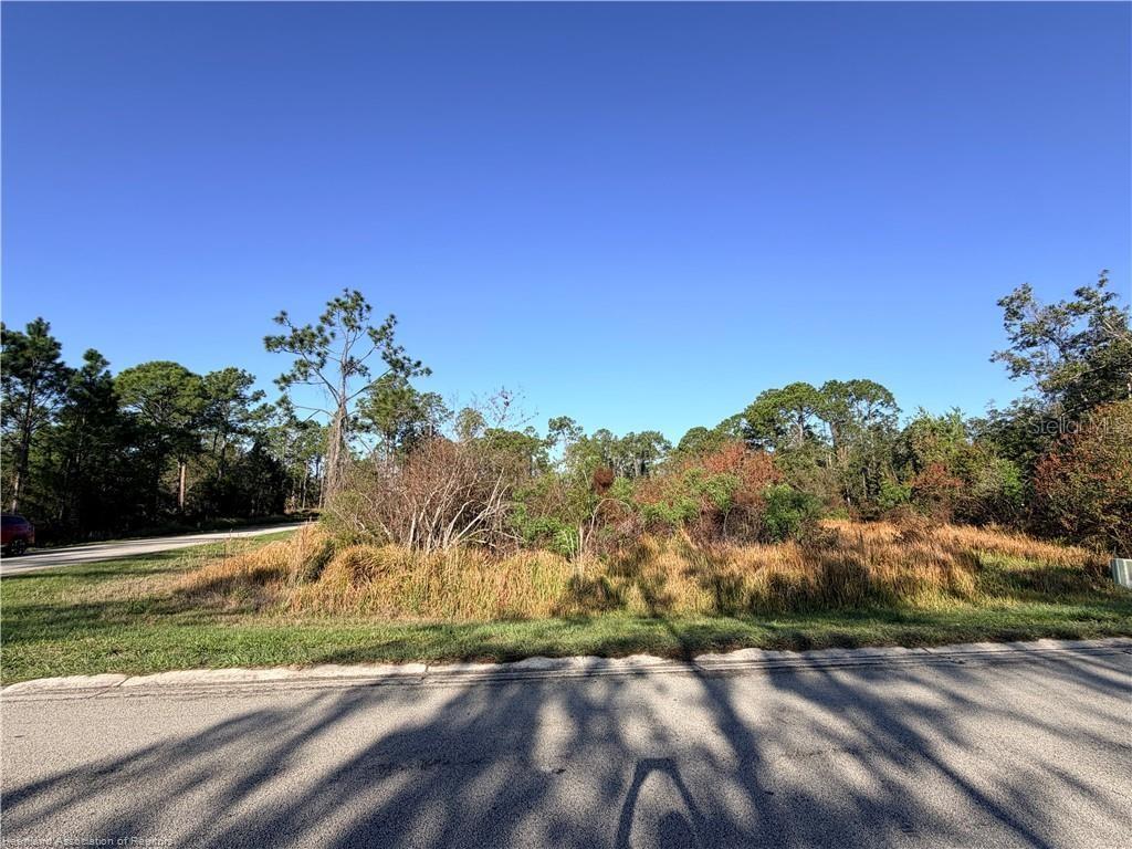 A vacant, overgrown lot sits along a paved road under a clear blue sky — 5009 CORTEZ BOULEVARD, SEBRING, FL