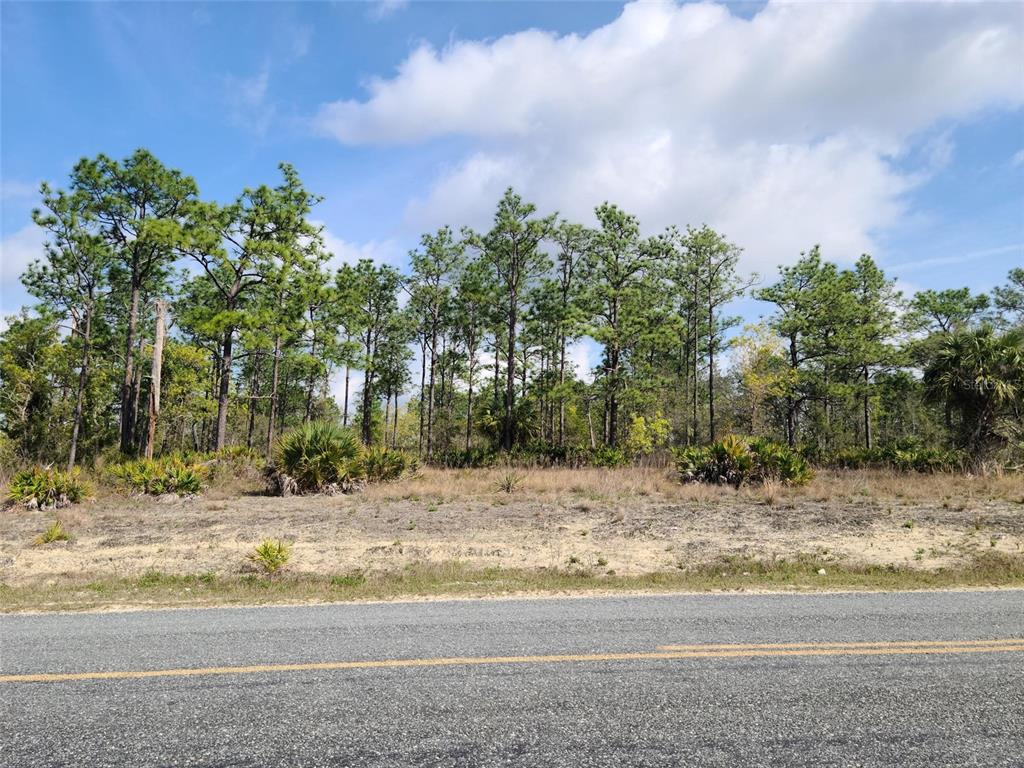 A paved road runs in front of a vacant, wooded lot under a blue sky — 12121 THRASHER AVENUE, WEEKI WACHEE, FL