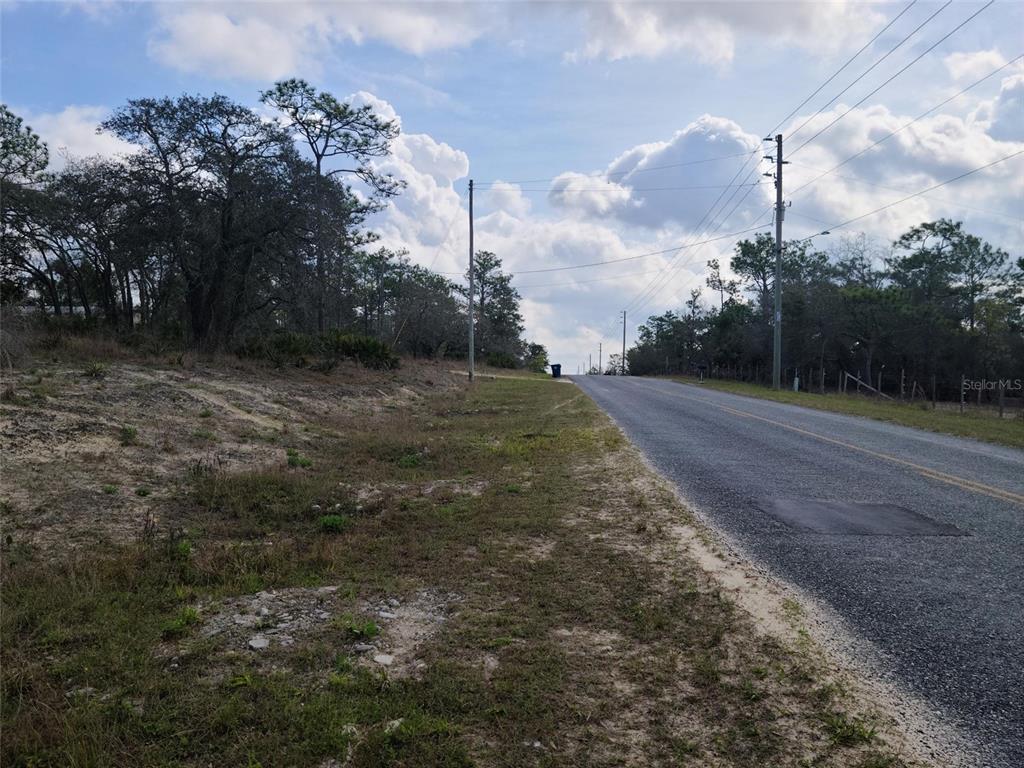 A paved road runs alongside a grassy, sloped lot with trees and utility poles — 12121 THRASHER AVENUE, WEEKI WACHEE, FL