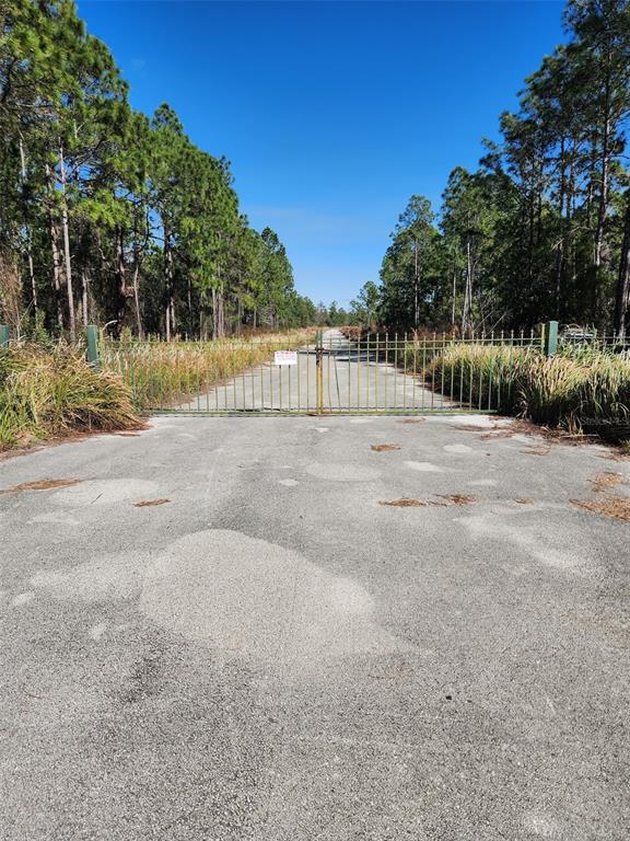 A paved road leads to a gated entrance surrounded by tall pine trees and grass — EGRET DRIVE, FROSTPROOF, FL