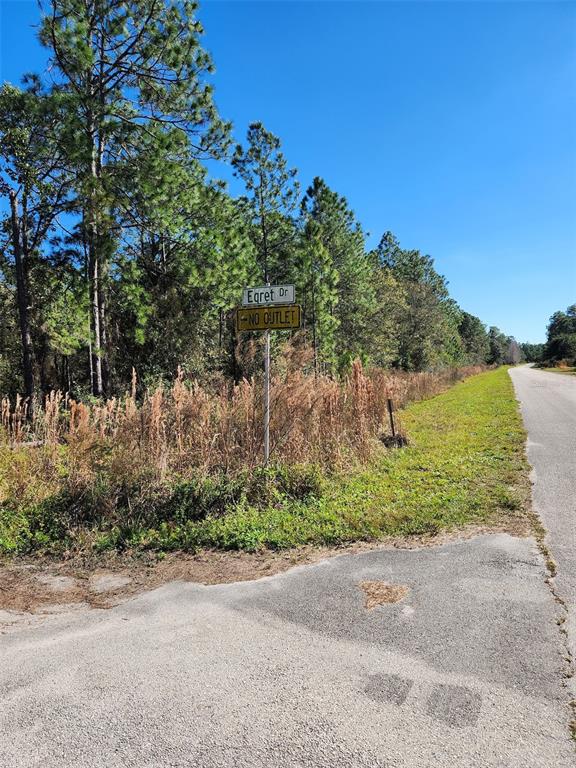 A street sign for Egret Dr stands beside a paved road near a wooded area — EGRET DRIVE, FROSTPROOF, FL