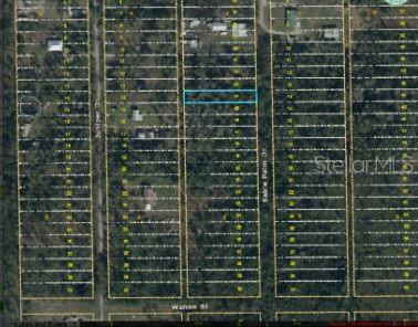 1020 SABLE PALM DRIVE, CHRISTMAS, FL — photo 2 of 8