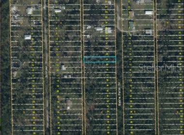 1020 SABLE PALM DRIVE, CHRISTMAS, FL — photo 4 of 8