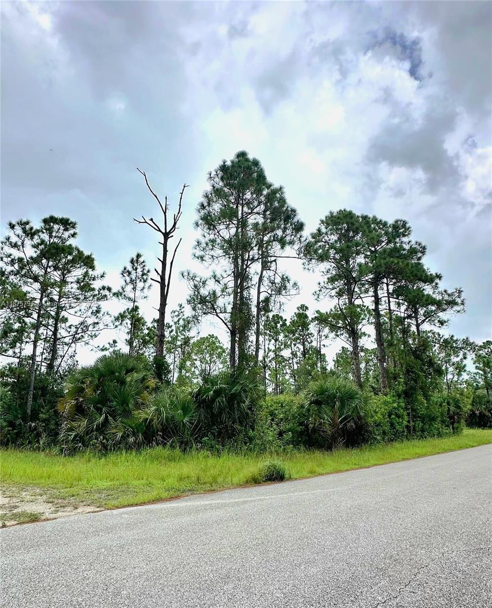 A paved road runs in front of a wooded area with pine trees and palms — 1247 Rake ST E, Lehigh Acres FL 33974, LEHIGH ACRES, FL