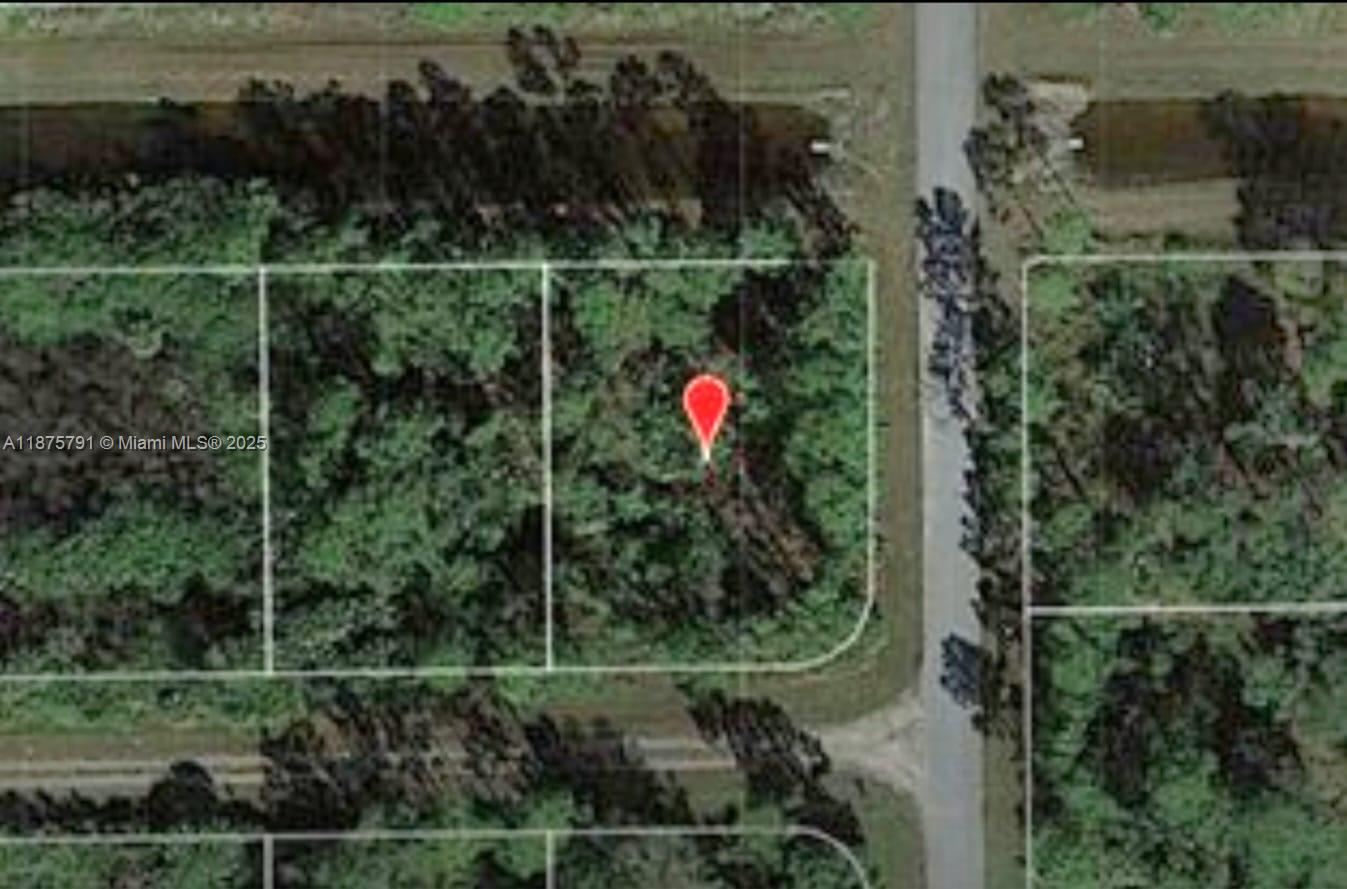 This is an aerial map view of a wooded residential lot — 1247 Rake ST E, Lehigh Acres FL 33974, LEHIGH ACRES, FL