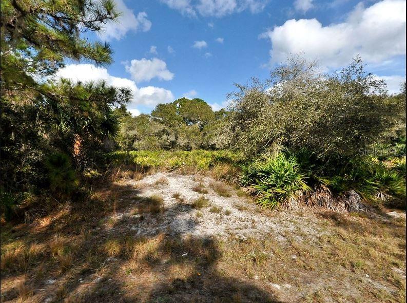 A sandy path leads through a wooded area with native Florida vegetation and palmettos — CODY CIRCLE, NORTH PORT, FL
