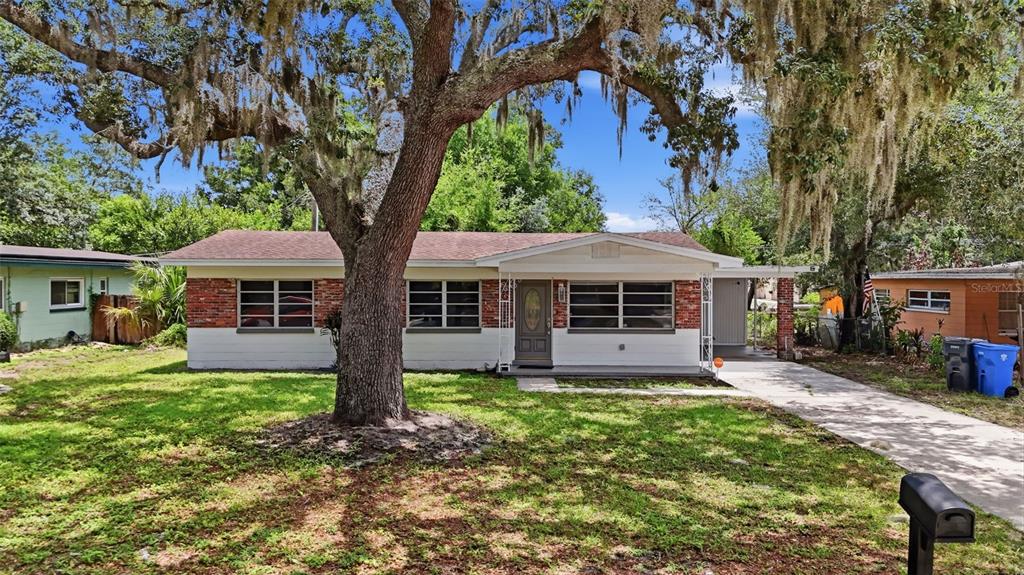 A single-story house with brick and white siding sits behind a large mossy oak tree — 7815 PINE HILL DRIVE, TAMPA, FL