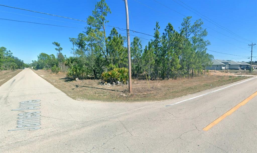 A corner lot with trees and brush sits at the intersection of two paved roads — 2101 E 10TH STREET, LEHIGH ACRES, FL