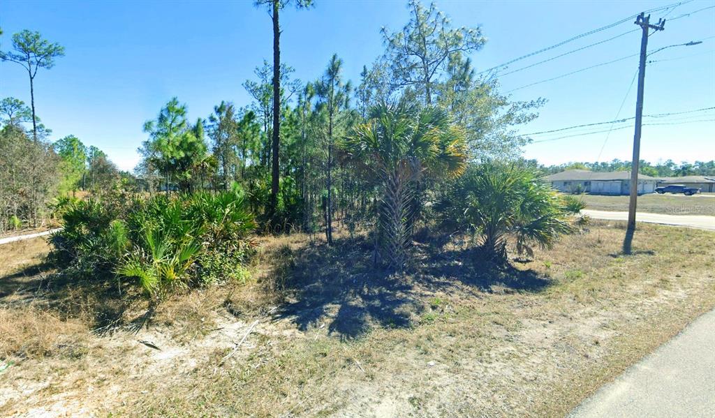 A vacant, wooded lot features native Florida vegetation, including palmettos and pine trees — 2101 E 10TH STREET, LEHIGH ACRES, FL
