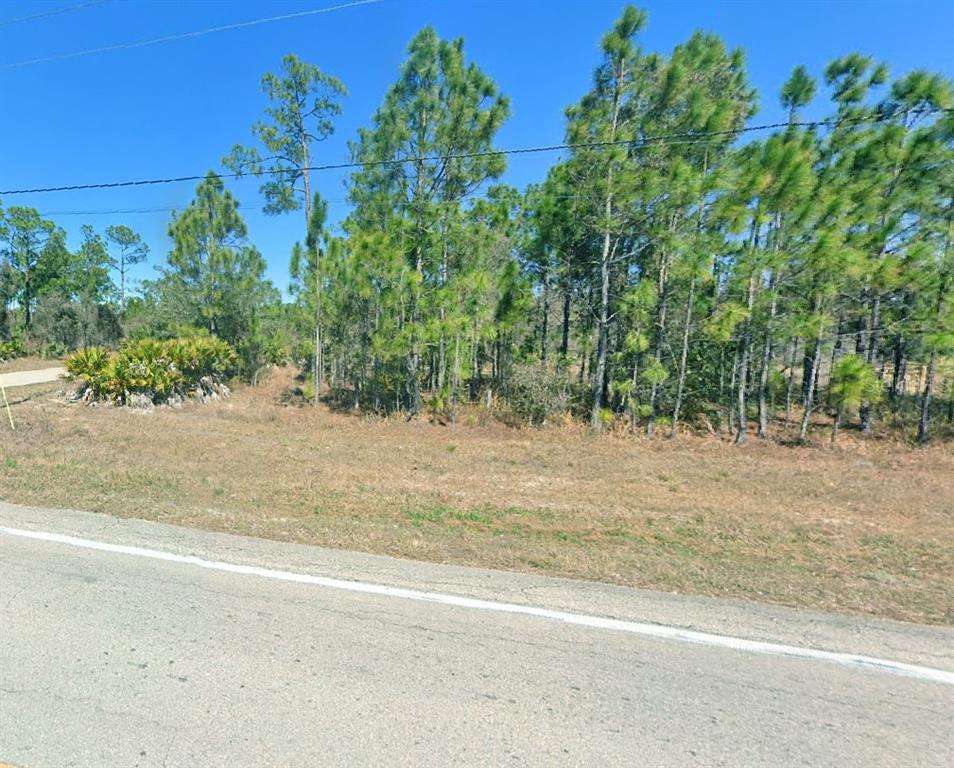A paved road runs alongside a grassy lot with scattered pine trees and palmetto bushes — 2101 E 10TH STREET, LEHIGH ACRES, FL