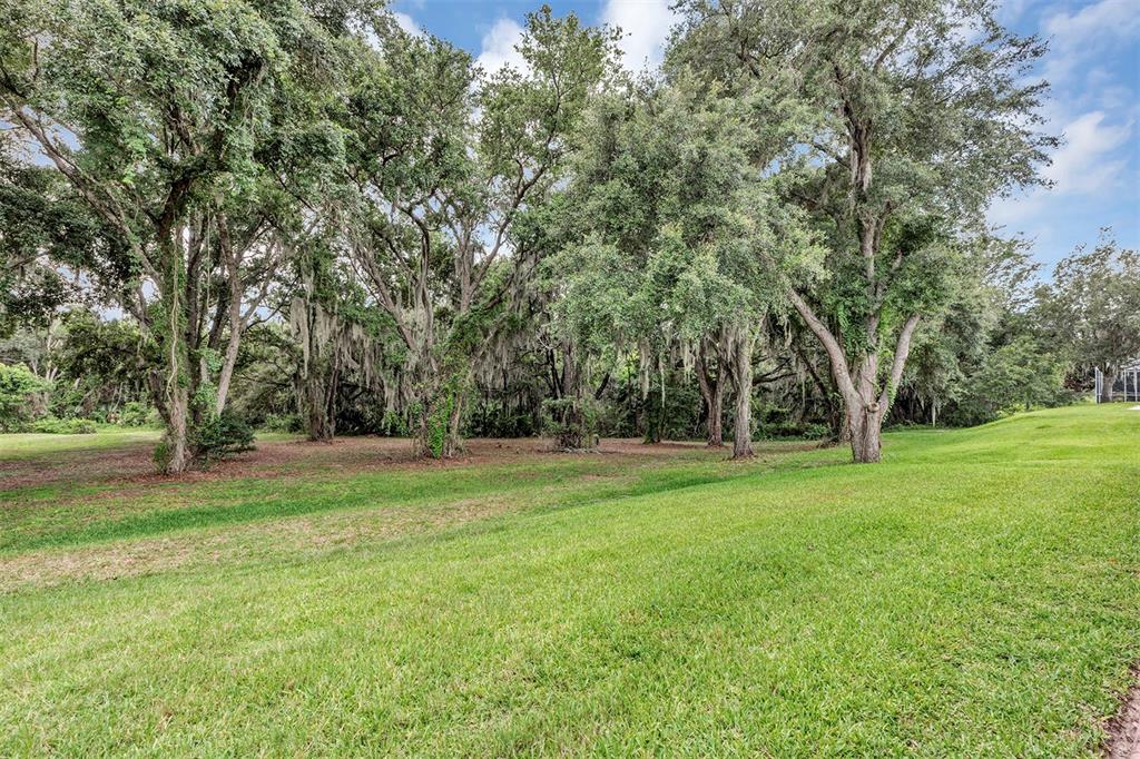 A grassy lawn slopes toward a dense cluster of mature trees with hanging Spanish moss — 4436 ANTIETAM CREEK TRAIL, LEESBURG, FL