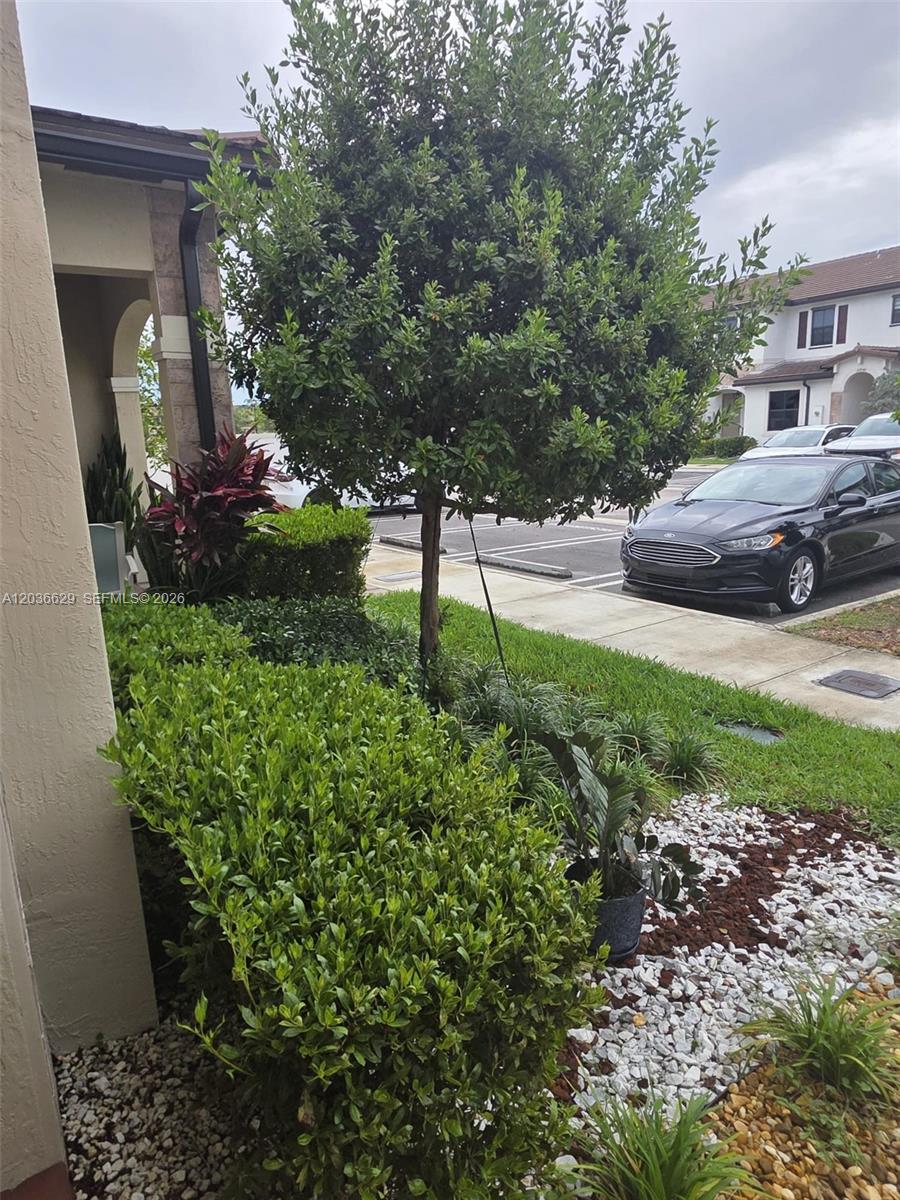 A view of a residential front yard featuring a manicured hedge, a tree, and a car — 10963 W 32nd Ln, Hialeah FL 33018, HIALEAH, FL