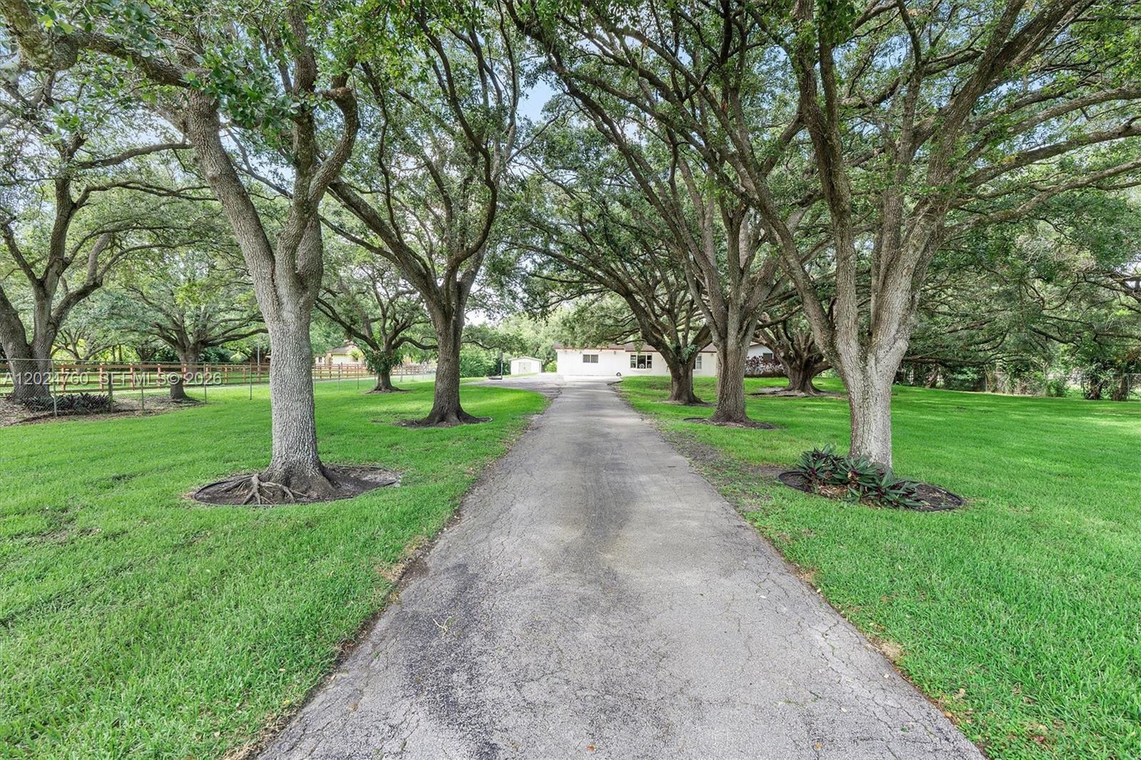 A paved driveway leads toward a house shaded by numerous large oak trees — 13821 Mustang Trl, Southwest Ranches FL 33330, SOUTHWEST RANCHES, FL