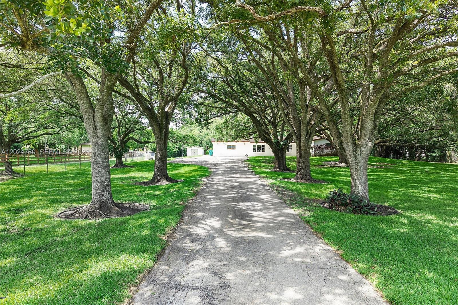 A long driveway leads to a house shaded by many large, mature oak trees — 13821 Mustang Trl, Southwest Ranches FL 33330, SOUTHWEST RANCHES, FL