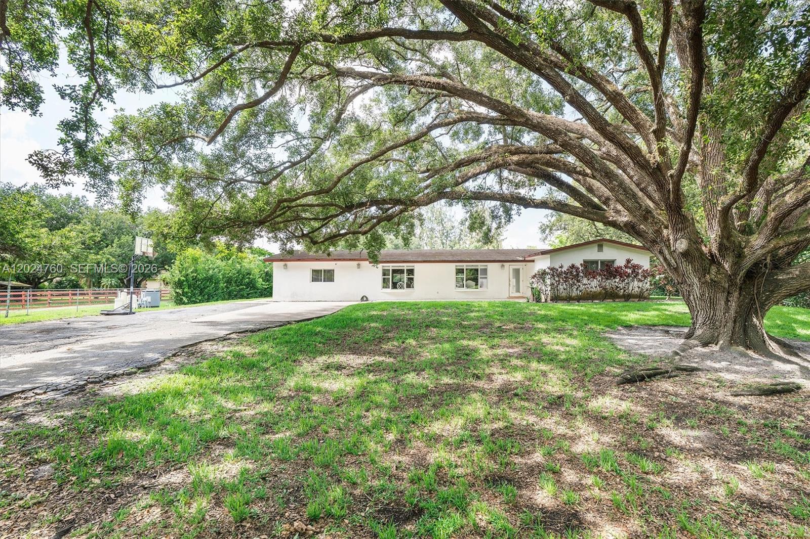 A single-story white house sits behind a large oak tree with a paved driveway — 13821 Mustang Trl, Southwest Ranches FL 33330, SOUTHWEST RANCHES, FL